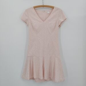 Club Monaco Darcia Lace Mini Dress